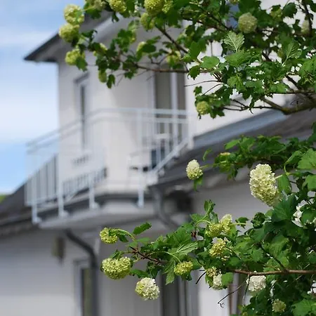 Roussel - Hotel Restaurant Bernkastel-Kues Exterior photo