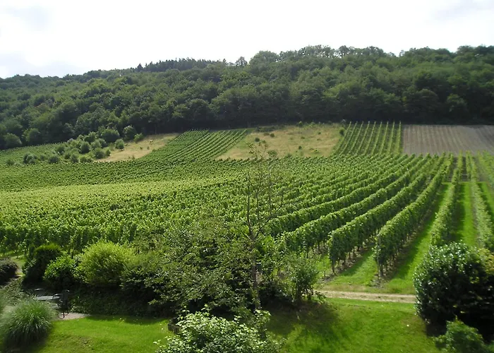 Feriendomizil&Weingut Roussel mit Restaurant La Bonne Adresse