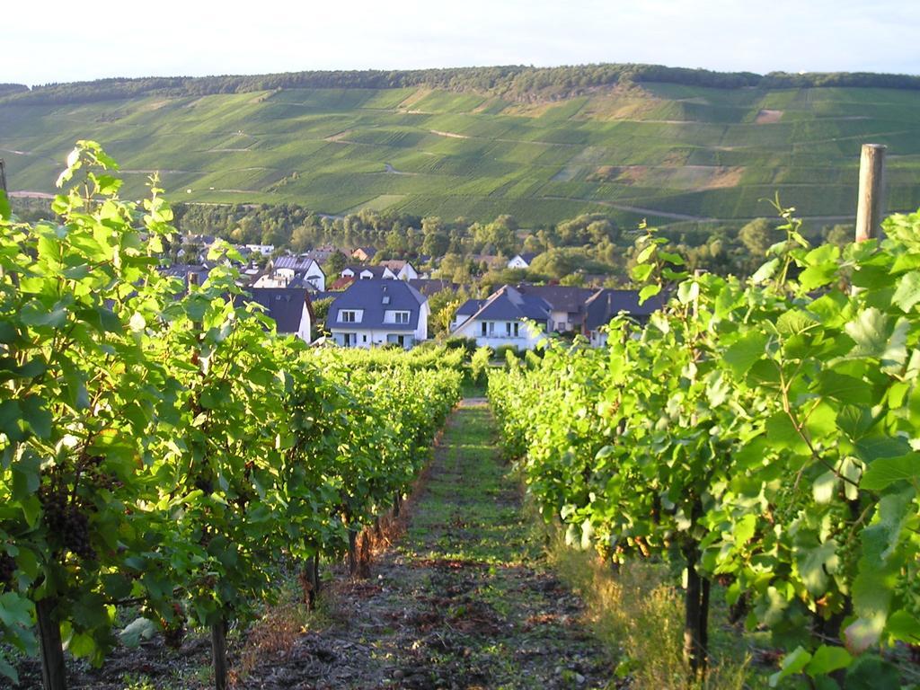 Feriendomizil&weingut Roussel Mit Restaurant La Bonne Adresse Apartment Bernkastel-Kues