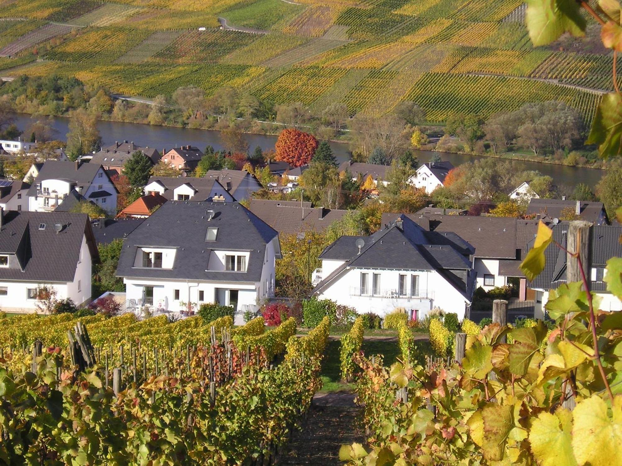 Roussel - Restaurant Bernkastel-Kues