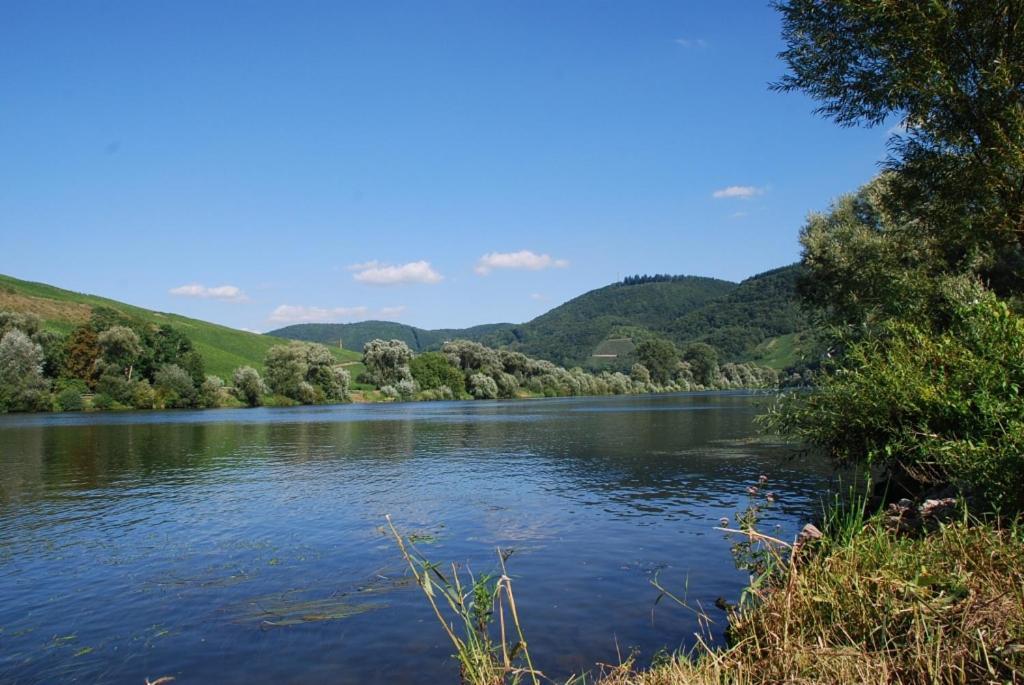 Feriendomizil&weingut Roussel Mit Restaurant La Bonne Adresse