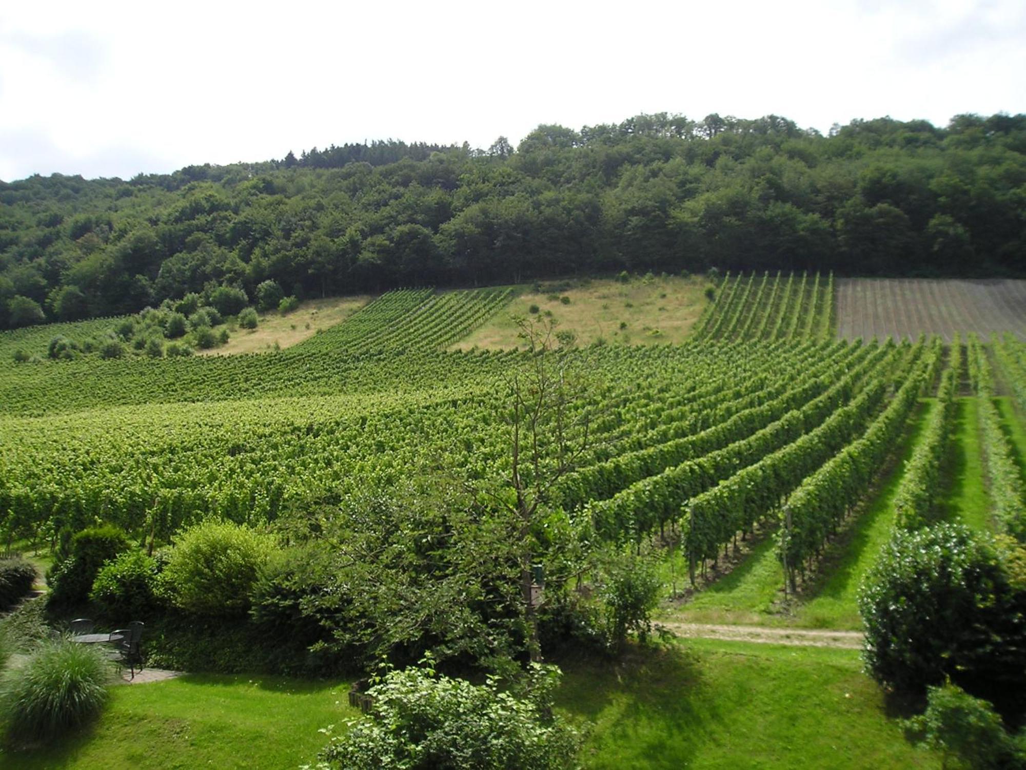 Feriendomizil&weingut Roussel Mit Restaurant La Bonne Adresse Apartment *