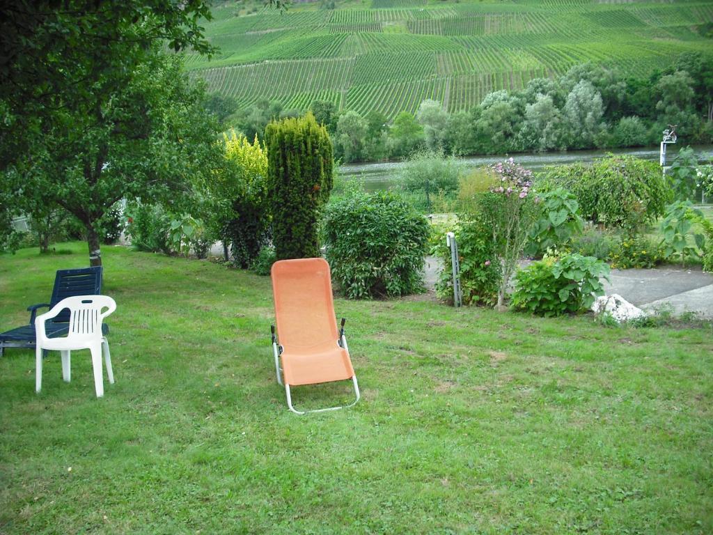 Roussel - Restaurant Apartment *