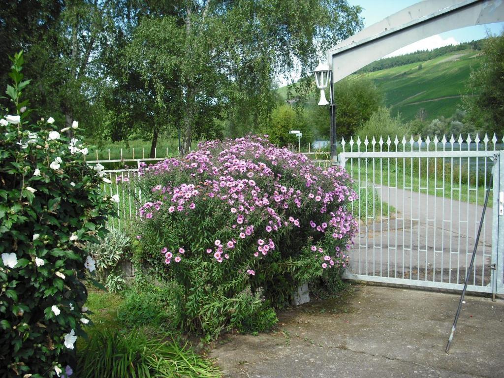 Apartment Feriendomizil&weingut Roussel Mit Restaurant La Bonne Adresse