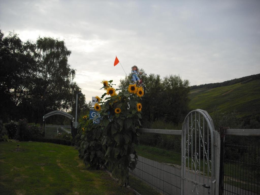 Feriendomizil&weingut Roussel Mit Restaurant La Bonne Adresse Apartment *