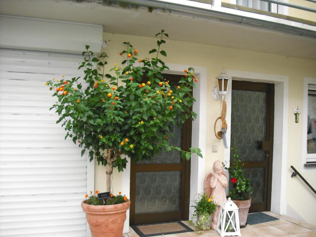 Apartment Feriendomizil&weingut Roussel Mit Restaurant La Bonne Adresse